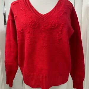 Pinch NWOT Red V-Neck Sweater